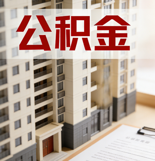 定西公积金代办行业新生态：从“跑腿中介”到“生活管家”的进化之路